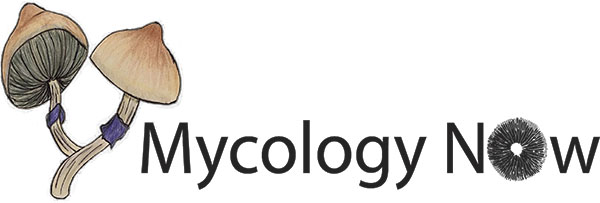 Mycology Now logo